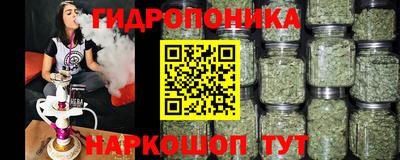 прущие крисы Тверь