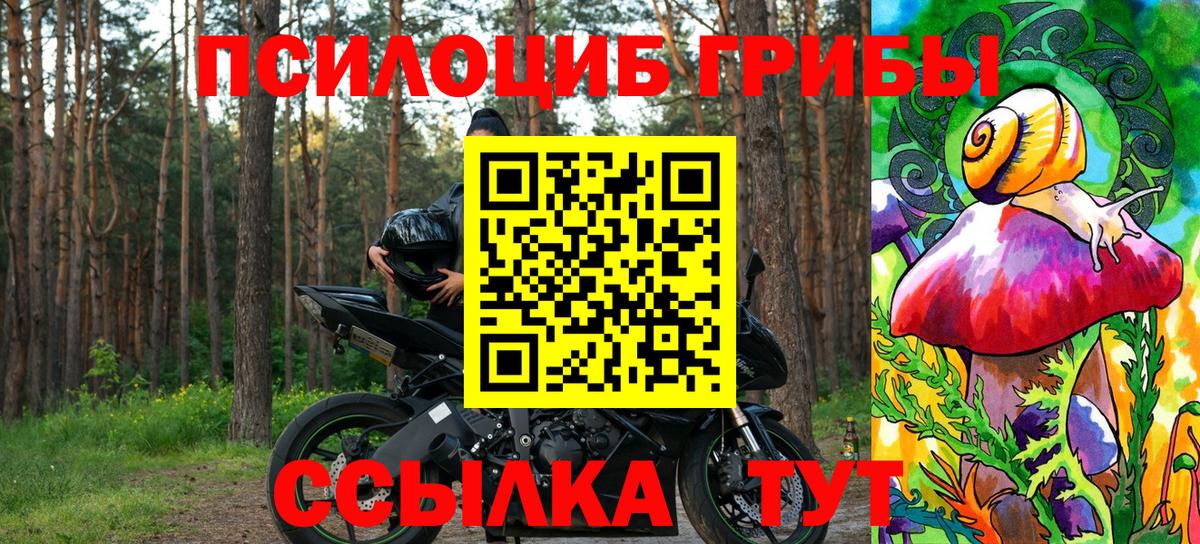 Псилоцибиновые грибы Cubensis Коркино