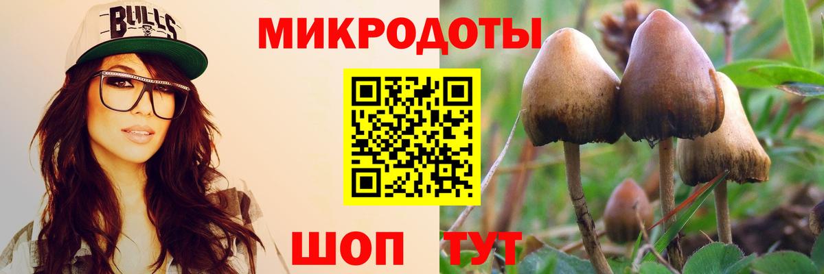 Коркино  Галлюциногенные грибы Psilocybine cubensis  Вход с VPN  где продают наркотики  Галлюциногенные грибы Cubensis 